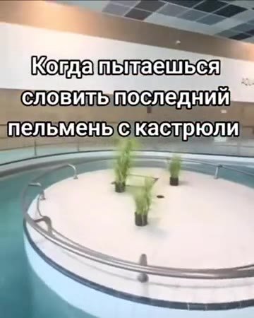 (i скастрюли словитьЬпоследний —Когдатьтаешься словить последний» пельменыс каста Когдатьтаешеся пельменыс кастрюли Кота пытаешься пельменьс og