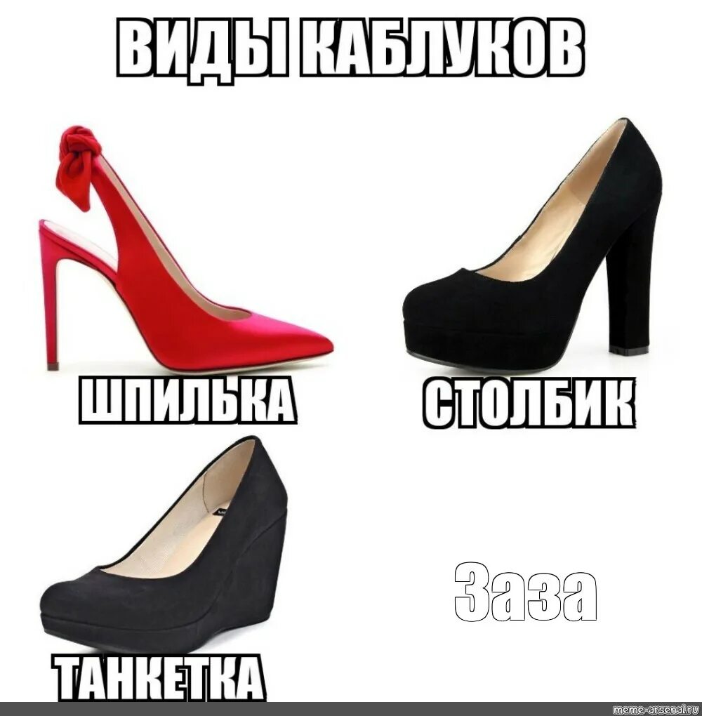 ВИДЫ Заза