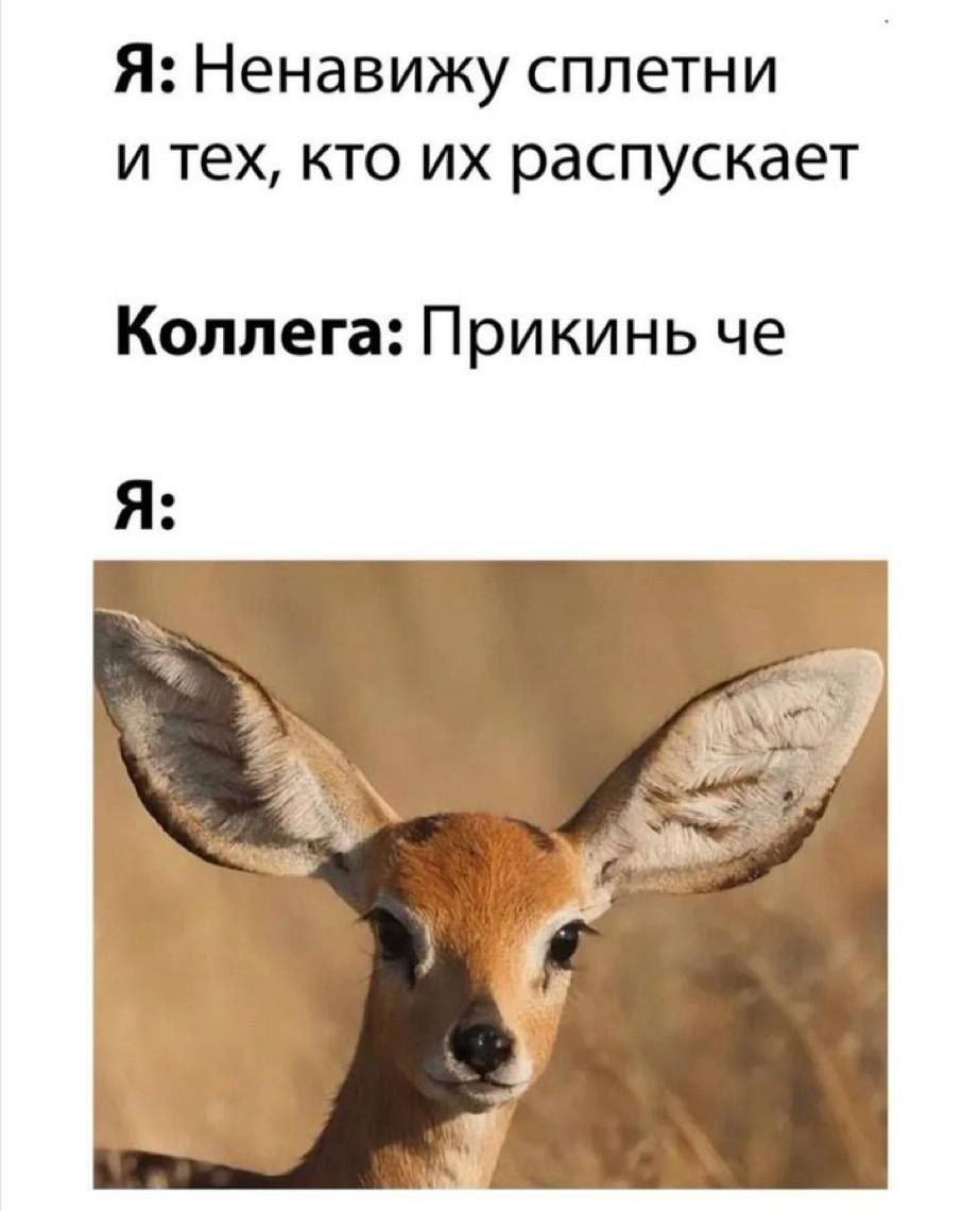 Я: Ненавижу сплетни и тех, кто распускает Коллега: Прикинь че Я: Я