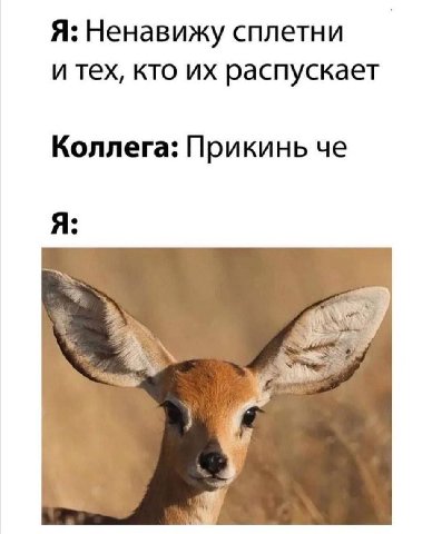 Я: Ненавижу сплетни и тех, кто распускает Коллега: Прикинь че Я: Я