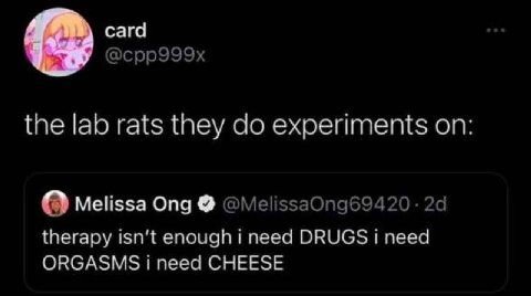 сага @cpp999x the lab rats they experiments on Melissa Ong therapy enough i need DRUGS need ORGASMS need CHEESE