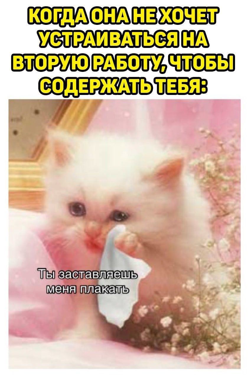 УСТРАИВАТЬСЯНА\ СОДЕРЖАТЬТЕБЯ: