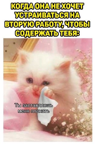 УСТРАИВАТЬСЯНА\ СОДЕРЖАТЬТЕБЯ: