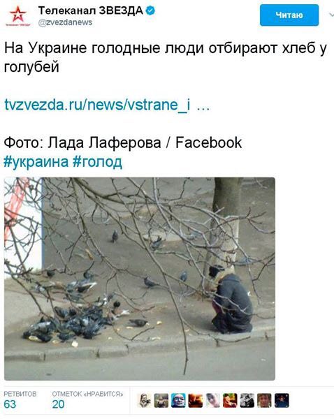Телеканал ЗВЕЗДА @zvezdanews На Украине голодные люди отбирают хлеб у голубей tvzvezda.ru/news/vstrane_i Фото: Лада Лаферова Facebook #голод РЕТВИТОВ ОТМЕТОК «НРАВИТСЯ» 63 20