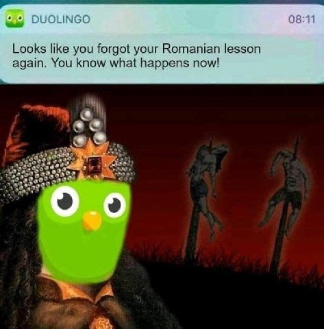 INGO Looks like you forgot your Romanian lesson again. You know what happens now!