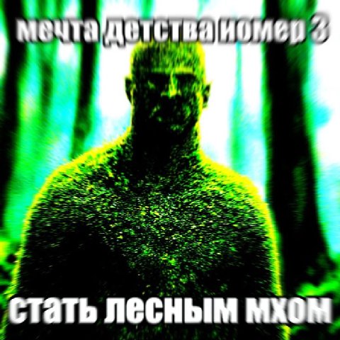 стать лесным MXOM