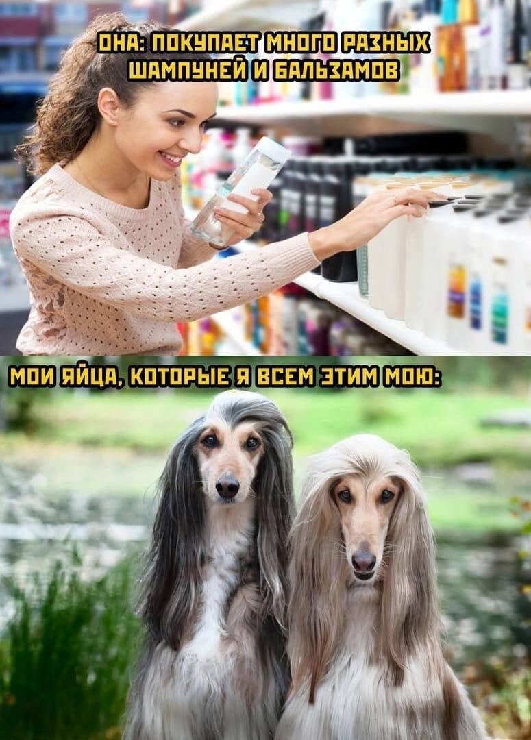 ОНА: РАЗНЫХ. и ШАМПУНЕЙ и
