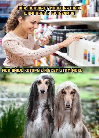 ОНА: РАЗНЫХ. и ШАМПУНЕЙ и