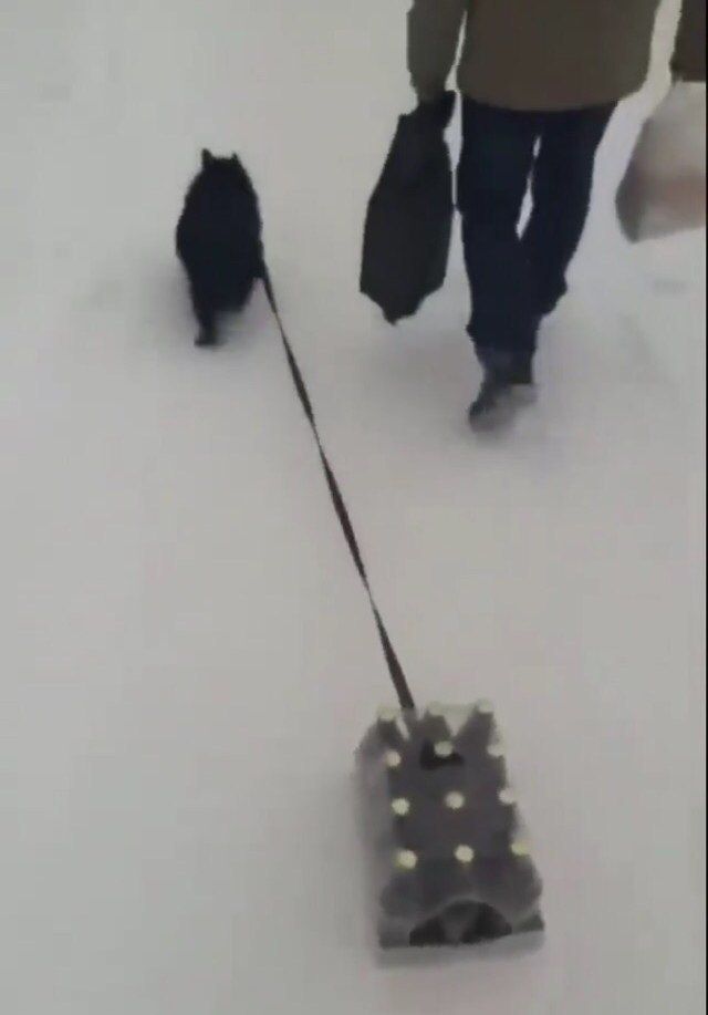 ‚Я Ё