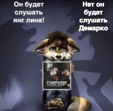 Он будет Нет он слушать будет янг лина! слушать Демарко