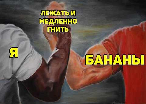 ЛЕЖАТЬ И МЕДЛЕННО ГНИТЬ БАНАНЫ