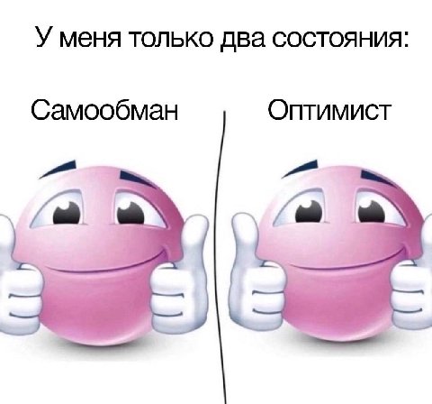 У меня только два состояния: Самообман Оптимист