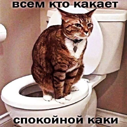 всем кто А a: 9 3 A 3 HOM каки