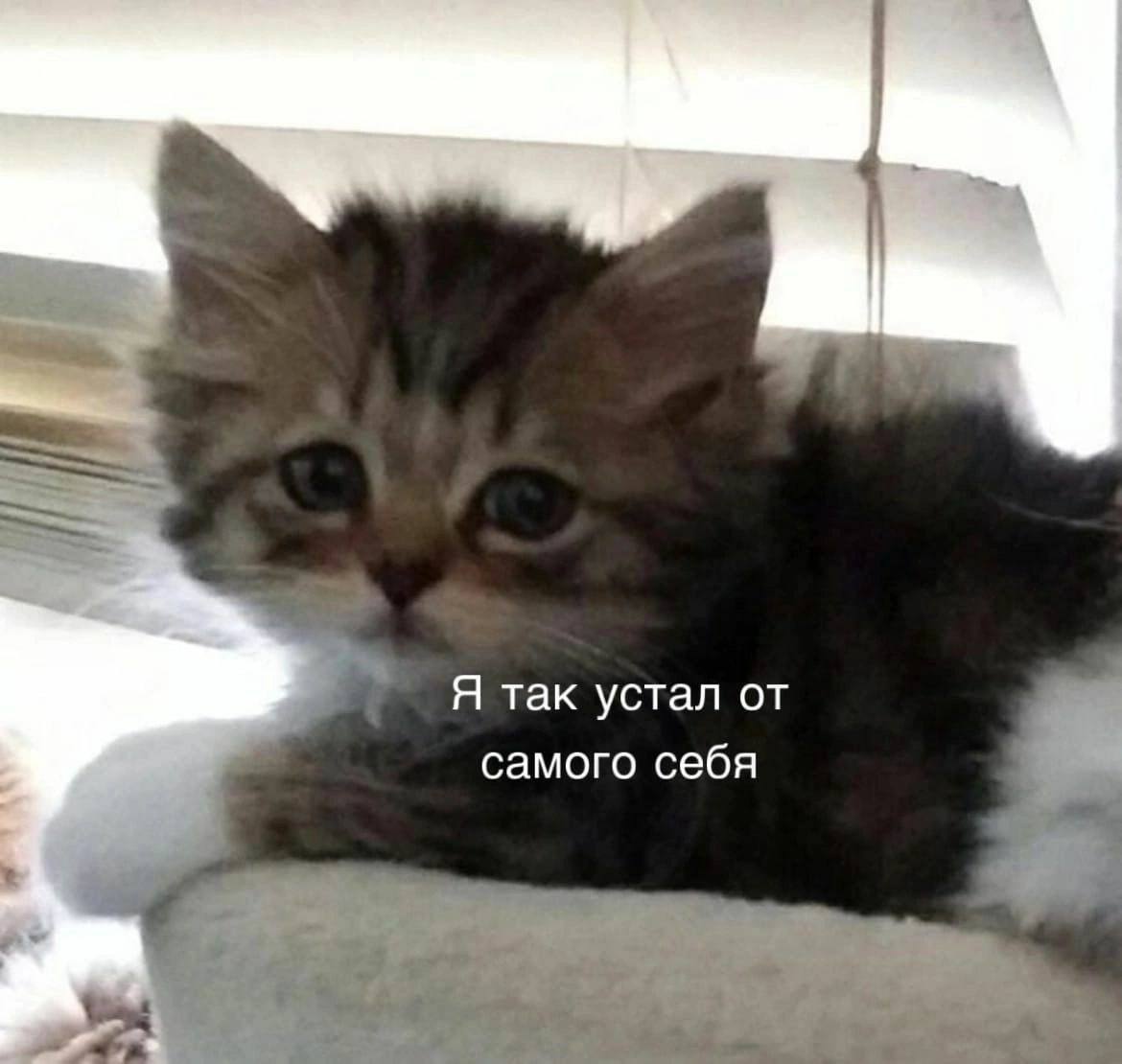 Я так устал от самого себя