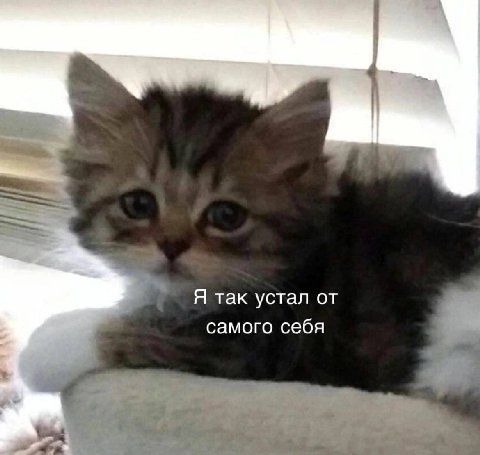 Я так устал от самого себя
