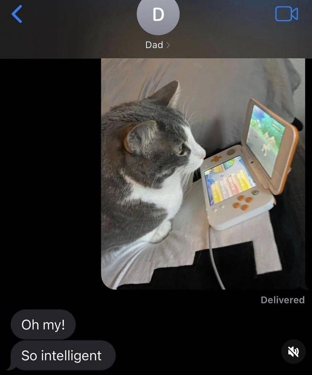 Dad Delivered my! So intelligent