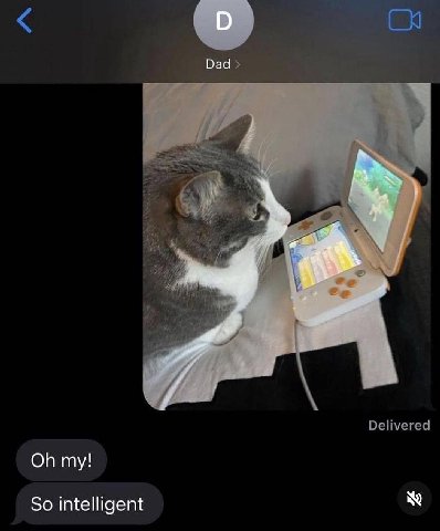 Dad Delivered my! So intelligent