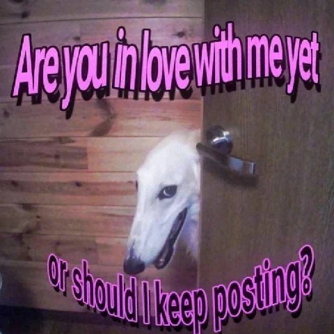 age 4 у i i у