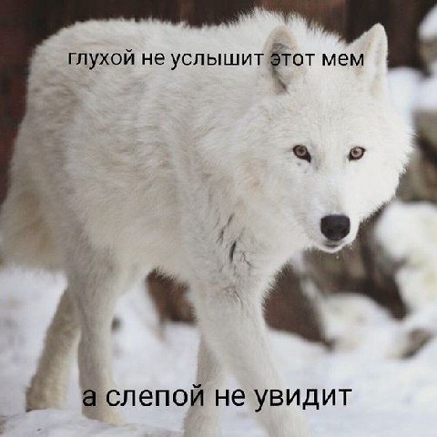 глухой не мем у а слепой не увидит