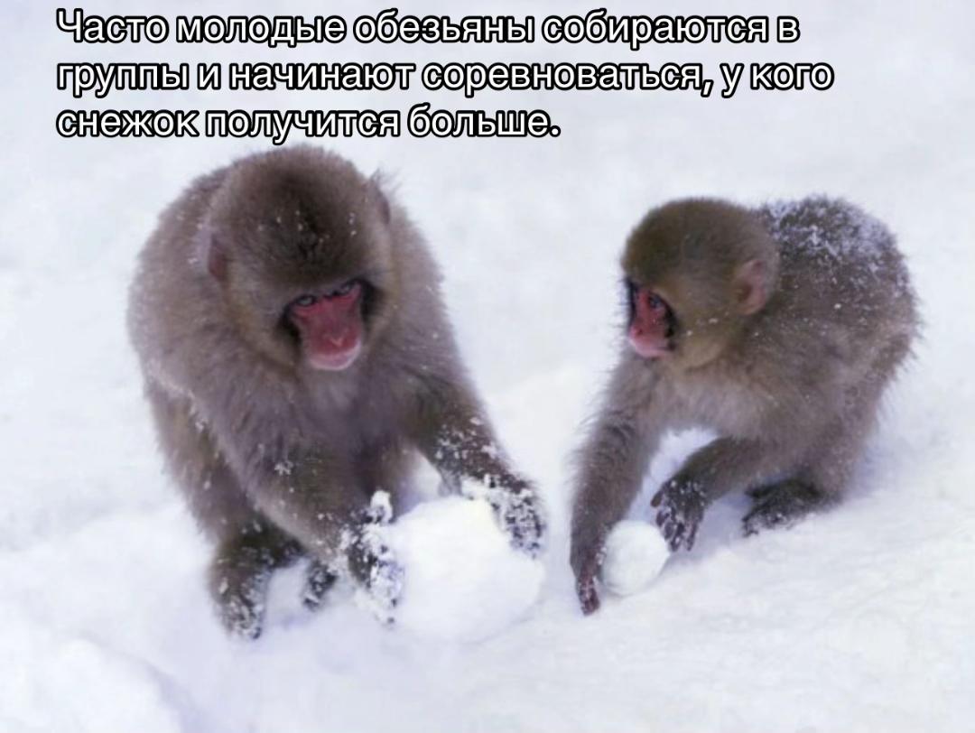 больше"