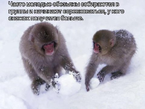 больше"