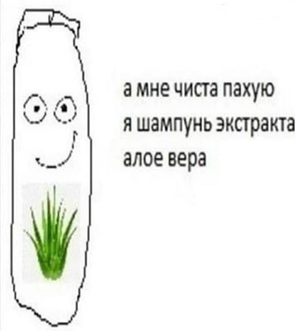 амне чиста пахую я шампунь экстракта алое вера