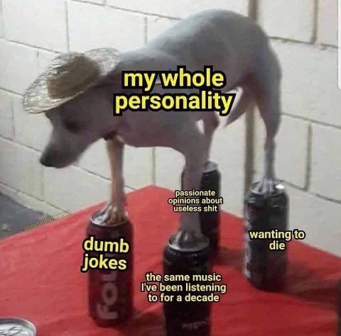 my whole personality/ я opinions about useless shit wanting to dumb die jokes the same music I've been listening to for a decade
