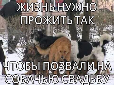 НУЖНО ПРОЖИТЬ ТАК. 4 @БЫ ПОЗВАЛИН А