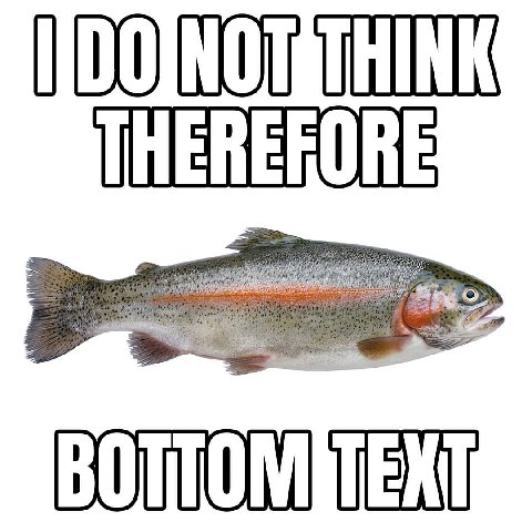 THE FORE я we