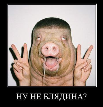 4 3 НУ НЕ БЛЯДИНА?