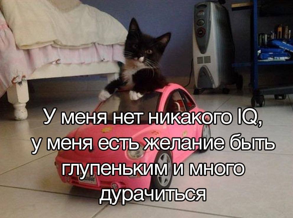 У меня нет никакого у меня есть желание быть глупеньким и много дурачиться
