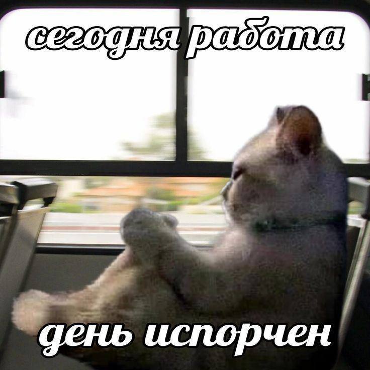 О сари