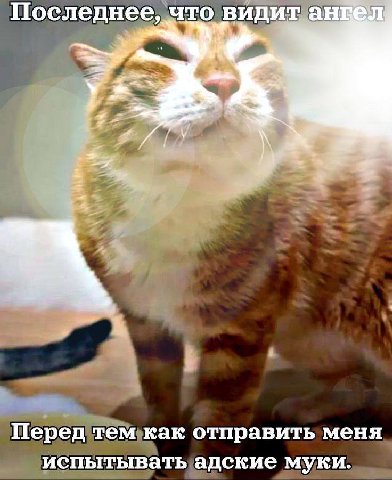 что видит ангел Перед тем как отправить меня испытывать адские муки.