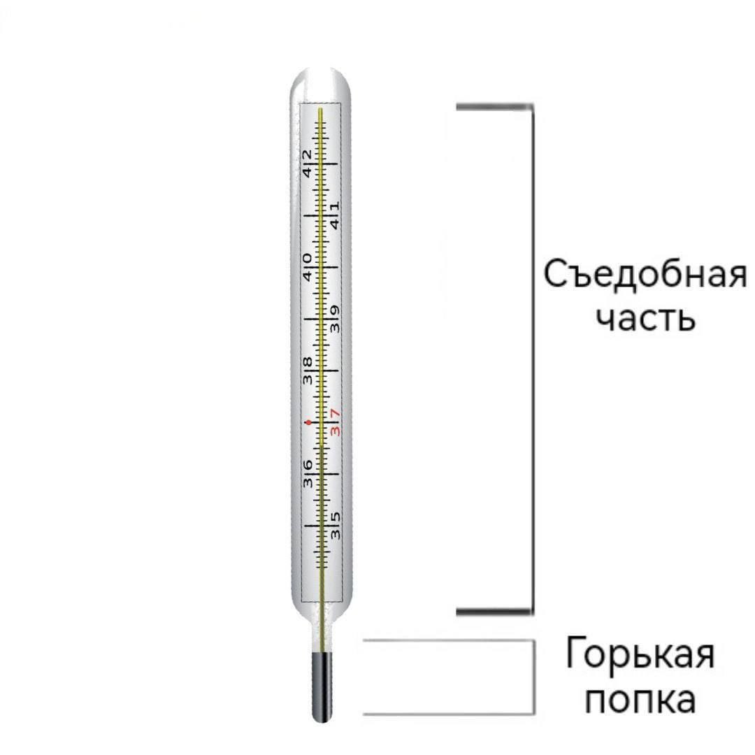 Съедобная часть Горькая попка