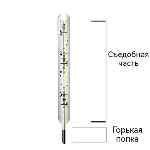 Съедобная часть Горькая попка