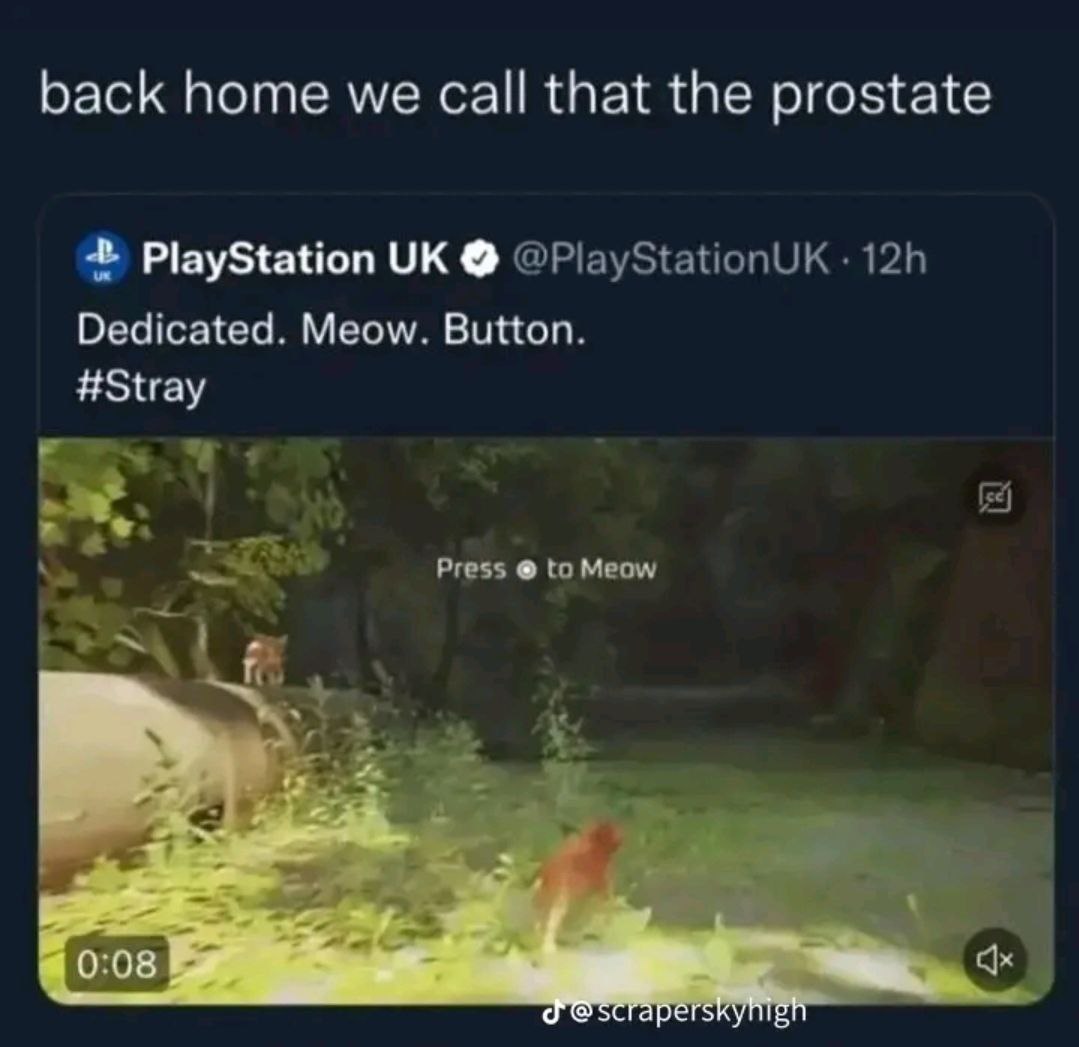 back home we that the prostate PlayStation @PlayStationUK Dedicated. Meow. Button. #Stray Press to