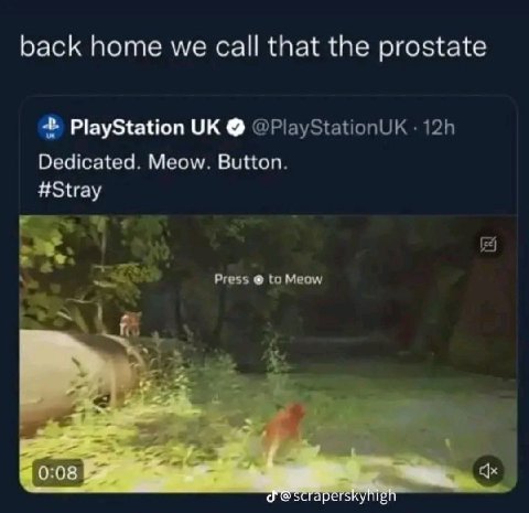 back home we that the prostate PlayStation @PlayStationUK Dedicated. Meow. Button. #Stray Press to