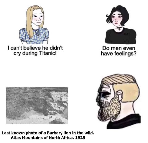 a can't believe he didn't men even cry during Titanic! have feelings? 4) Last known photo of a Barbary Поп in the wild. Atlas Mountains of North Africa, 1925