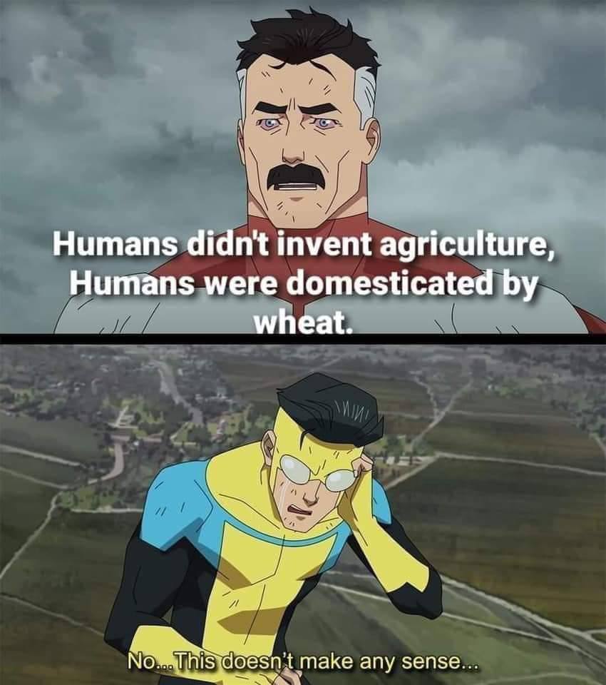 Humans didn't invent agriculture, Humans were domesticated wheat. 5 make any sense