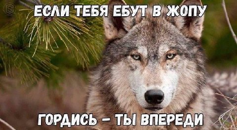 _ЕСЛИ ТЕБЯ ЕБУТ В ЖОПУ ГОРДИСЬ ТЫ ВПЕРЕДИ