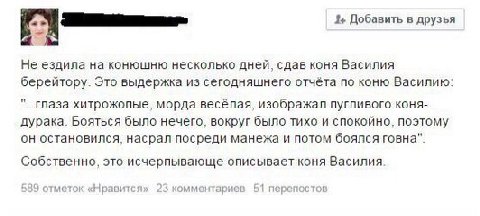 Добавить в друзья Не ездила на конюшню несколько дней, сдав коня Василия берейтору. Это выдержка из сегодняшнего отчёта по коню Василию: хитрожопые, морда весёлая, изображал пугливого коня- дурака. Бо