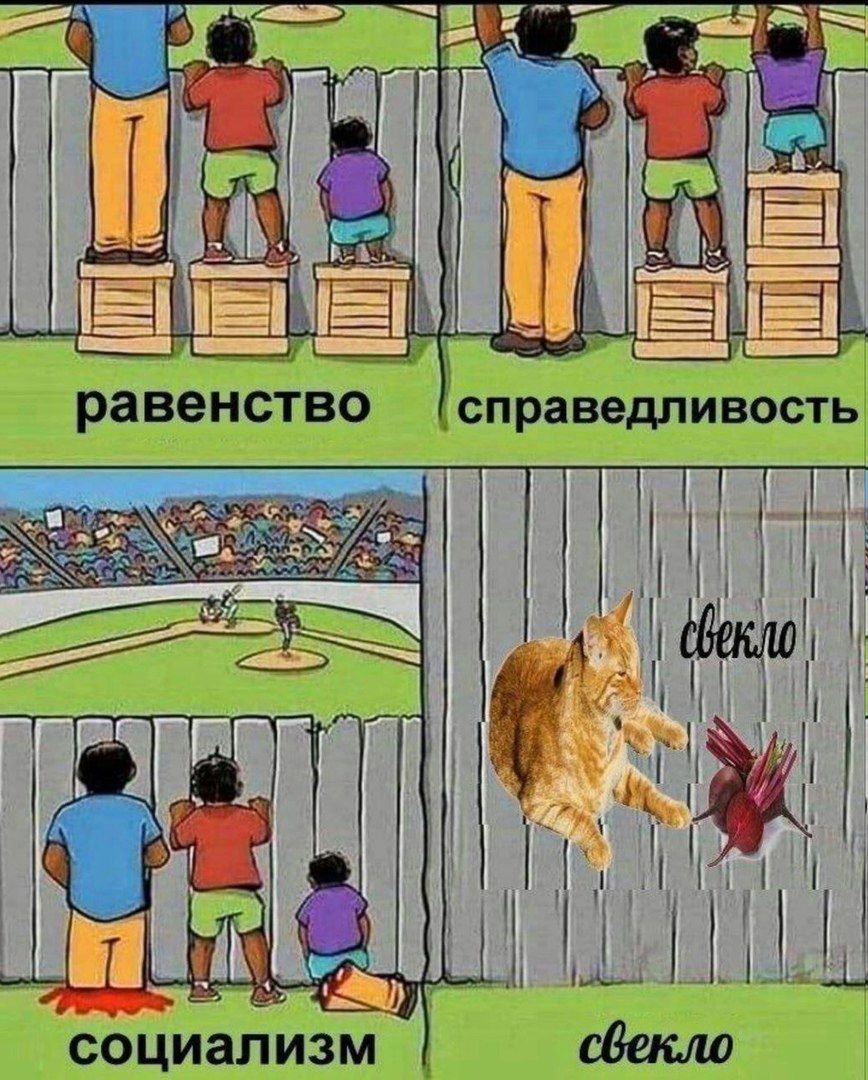 a равенство [справедливость социализм свекло