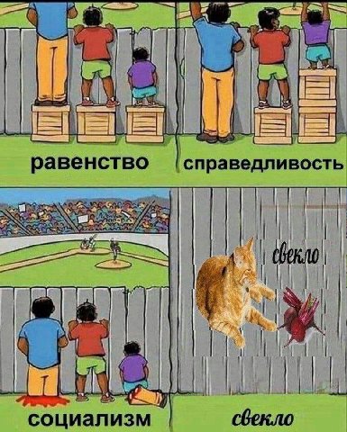 a равенство [справедливость социализм свекло