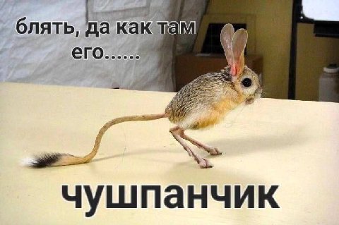 блять да там его...... у 2 чушпанчик