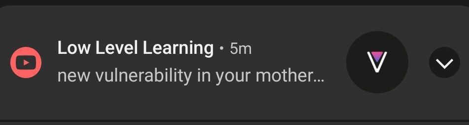 Low Level Learning new vulnerability in your mother...