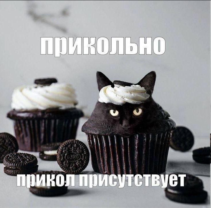 прикольно прикол присутствует