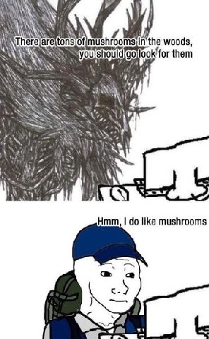 AN of in'the woods, ushould/go) look for them an Wis Hmm, like mushrooms