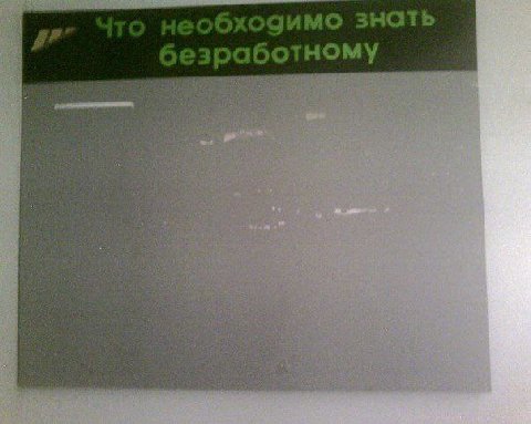 HOM i