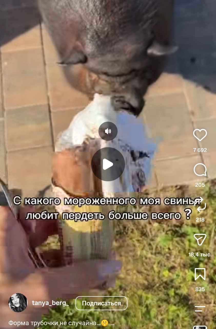 7692 205 С какого мороженного MOA свинья? любит больше всего 218 a 18,4 тыс A 835 tanya_berg_ Форма трубочки не случайна