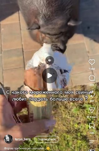 7692 205 С какого мороженного MOA свинья? любит больше всего 218 a 18,4 тыс A 835 tanya_berg_ Форма трубочки не случайна